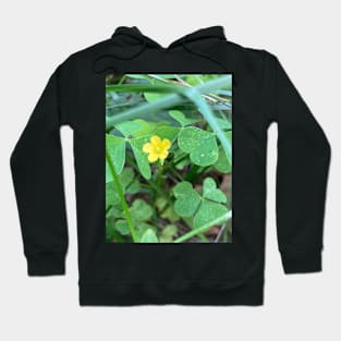 Tiny Hidden Wildflower Hoodie